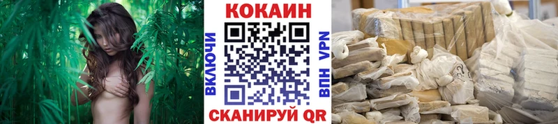 Где купить наркотики Нерюнгри ГАШИШ  Марихуана  NBOMe  МЕФ  A PVP 