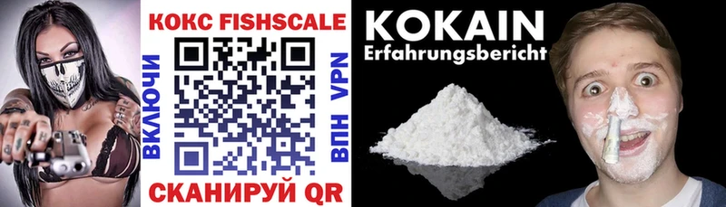 Cocaine Эквадор  продажа наркотиков  blacksprut ССЫЛКА  Нерюнгри 