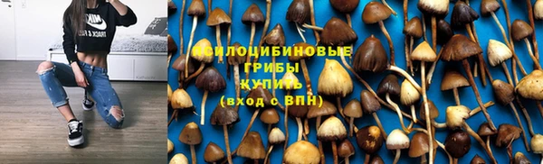 молекула духа Баксан