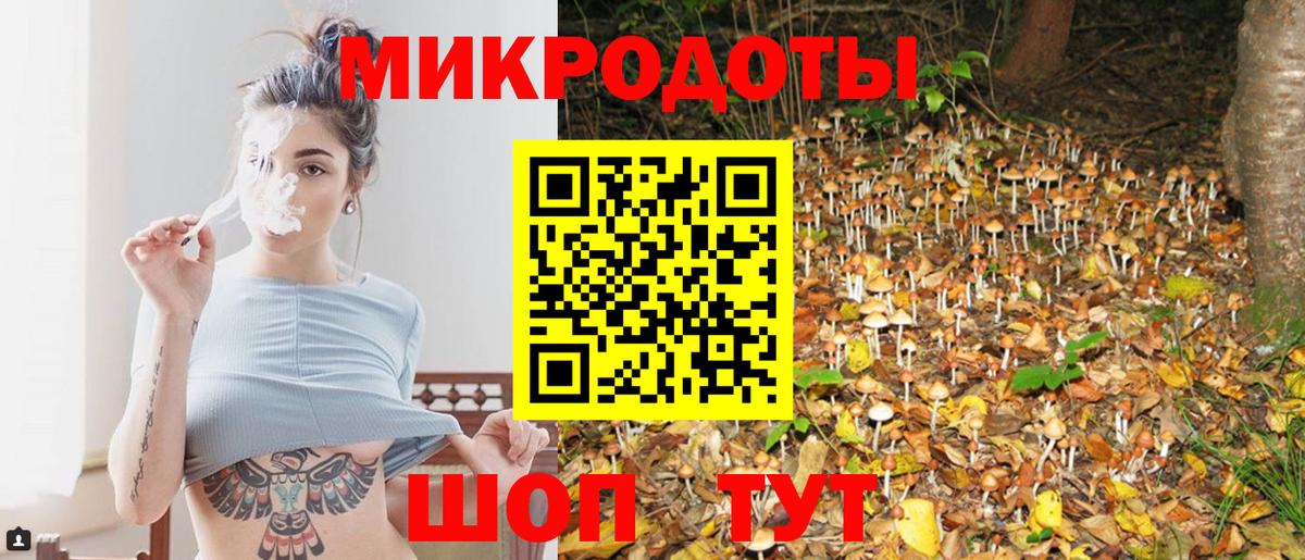 где купить наркотик  Галлюциногенные грибы прущие грибы  Вход с VPN  Нерюнгри 
