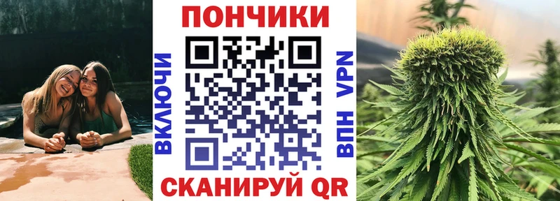 Конопля сатива  наркота  Нерюнгри 